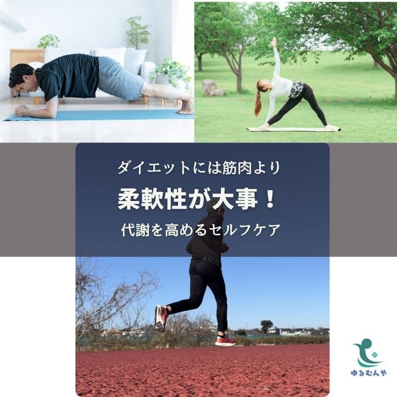 筋肉の柔軟性がダイエットに必要!代謝を高めるセルフケア